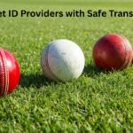 Cricket ID Providers with Safe Transactions